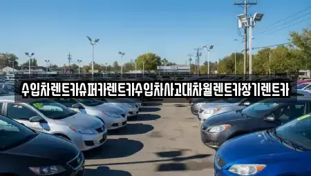 경기 성남시 분당구 서현동 장기렌트카 전문 수입차렌트카슈퍼카렌트카수입차사고대차월렌트카장기렌트카