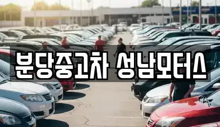 경기 성남시 분당구 서현동 중고차 전문 분당중고차 성남모터스