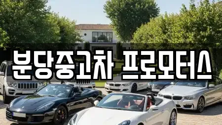경기 성남시 분당구 서현동 중고차 전문 분당중고차 프로모터스