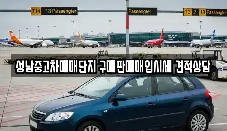 경기 성남시 분당구 서현동 중고차 전문 성남중고차매매단지 구매판매매입시세 견적상담