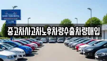 경기 성남시 분당구 서현동 중고차매입 전문 중고차사고차노후차량수출차량매입