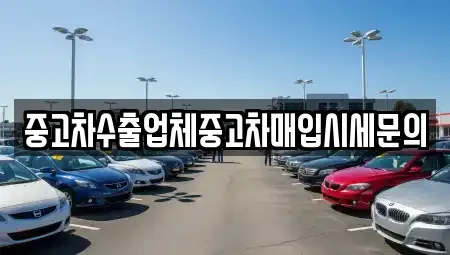 경기 성남시 분당구 서현동 중고차매입 전문 중고차수출업체중고차매입시세문의
