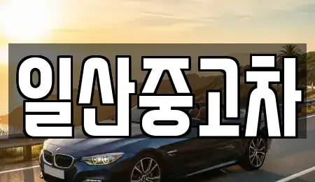 경기도 고양시 덕양구 용두동 중고차 전문 일산중고차