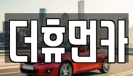 경기도 성남시 분당구 서현동 단기렌트카 전문 더휴먼카