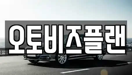 경기도 성남시 분당구 서현동 단기렌트카 전문 오토비즈플랜