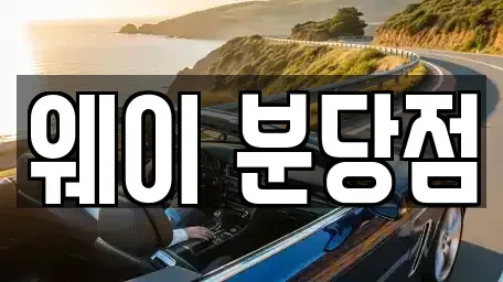 경기도 성남시 분당구 서현동 단기렌트카 전문 웨이 분당점
