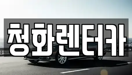 경기도 성남시 분당구 서현동 단기렌트카 전문 청화렌터카