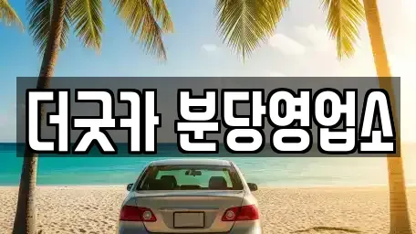 경기도 성남시 분당구 서현동 렌트카 전문 더굿카 분당영업소