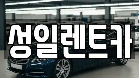 경기도 성남시 분당구 서현동 장기렌트카 전문 성일렌트카