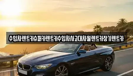 경기도 성남시 분당구 서현동 장기렌트카,중고차,렌트카,단기렌트카,중고차매입,중고차매매