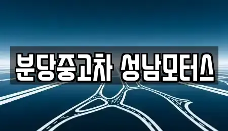 경기도 성남시 분당구 서현동 중고차 전문 분당중고차 성남모터스
