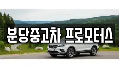 경기도 성남시 분당구 서현동 중고차 전문 분당중고차 프로모터스
