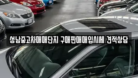 경기도 성남시 분당구 서현동 중고차 전문 성남중고차매매단지 구매판매매입시세 견적상담