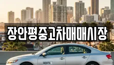 경기도 성남시 분당구 서현동 중고차 전문 장안평중고차매매시장
