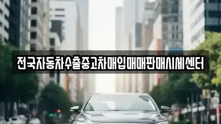 경기도 성남시 분당구 서현동 중고차 전문 전국자동차수출중고차매입매매판매시세센터