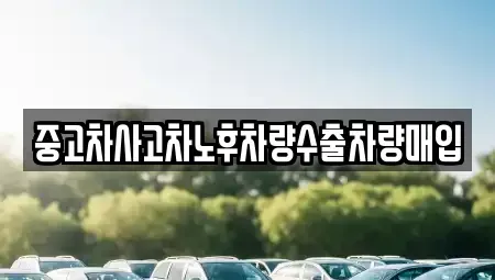 경기도 성남시 분당구 서현동 중고차매입 전문 중고차사고차노후차량수출차량매입