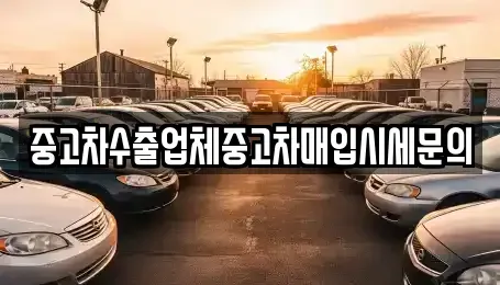 경기도 성남시 분당구 서현동 중고차매입 전문 중고차수출업체중고차매입시세문의