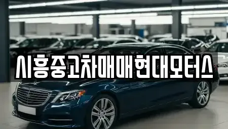 경기도 시흥시 물왕동 중고차 전문 시흥중고차매매현대모터스