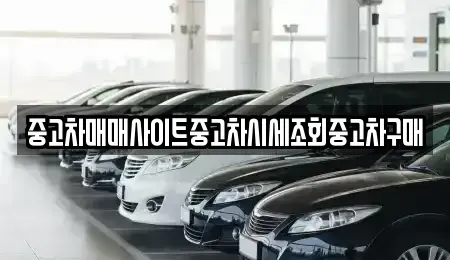 경기도 시흥시 물왕동 중고차 전문 중고차매매사이트중고차시세조회중고차구매