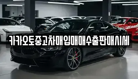 경기도 시흥시 물왕동 중고차매입 전문 카카오토중고차매입매매수출판매시세
