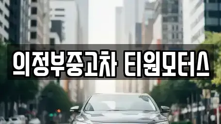 경기도 의정부시 녹양동 중고차매매 전문 의정부중고차 티원모터스