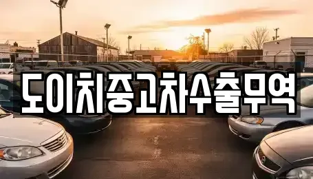 경북 경주시 조양동 중고차매매 전문 도이치중고차수출무역