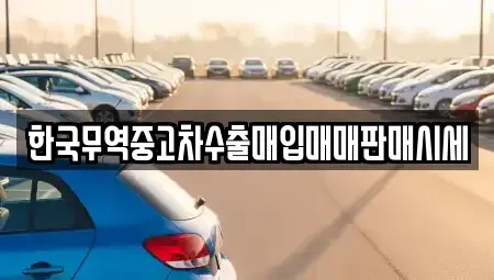 경북 구미시 남통동 중고차매매 전문 한국무역중고차수출매입매매판매시세