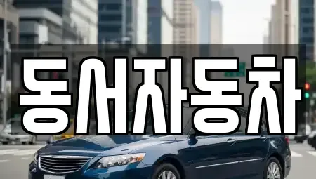 경상북도 경주시 신평동 중고차 전문 동서자동차