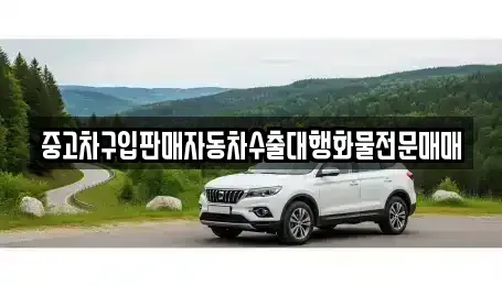 경상북도 경주시 신평동 중고차 전문 중고차구입판매자동차수출대행화물전문매매