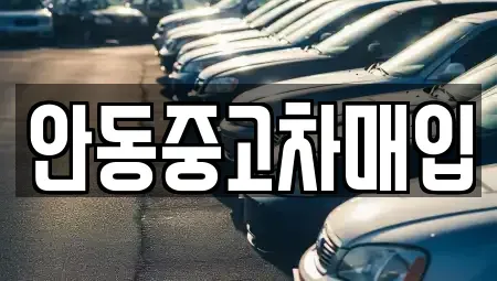 경상북도 안동시 법흥동 단기렌트카,중고차매입,중고차매매,중고차,렌트카,장기렌트카