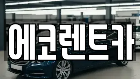 광주 광산구 요기동 렌트카 전문 에코렌트카