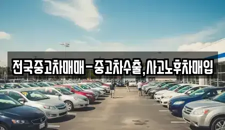 광주 광산구 요기동 중고차 전문 전국중고차매매-중고차수출,사고노후차매입