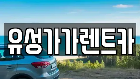 대전광역시 유성구 화암동 렌트카 전문 유성가가렌트카