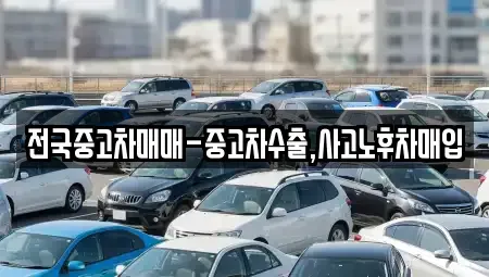 대전광역시 유성구 화암동 중고차 전문 전국중고차매매-중고차수출,사고노후차매입
