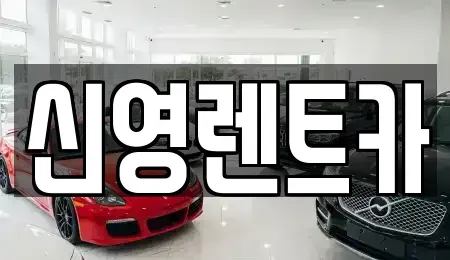 부산 수영구 민락동 장기렌트카 전문 신영렌트카