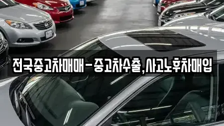 부산 수영구 민락동 중고차 전문 전국중고차매매-중고차수출,사고노후차매입