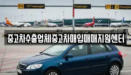부산 수영구 민락동 중고차 전문 중고차수출업체중고차매입매매지원센터
