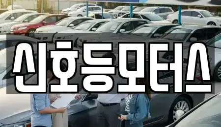 부산광역시 해운대구 재송동 중고차 전문 신호등모터스