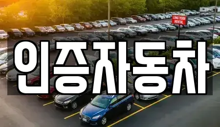 서울 동대문구 용두동 중고차매매 전문 인증자동차