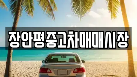 서울 동대문구 용두동 중고차매매,단기렌트카,중고차매입,장기렌트카,중고차,렌트카