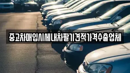 서울 동대문구 용두동 중고차매매 전문 중고차매입시세내차팔기견적가격수출업체