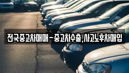서울 동대문구 용두동 중고차매입 전문 전국중고차매매-중고차수출,사고노후차매입