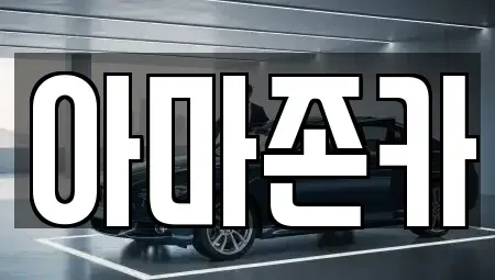 서울 영등포구 당산동6가 장기렌트카 전문 아마존카