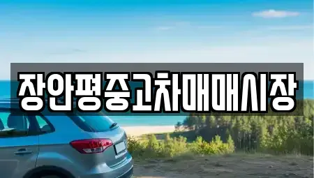 서울 영등포구 당산동6가 중고차 전문 장안평중고차매매시장