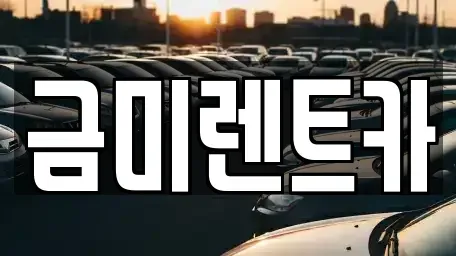 서울 영등포구 대림동 단기렌트카 전문 금미렌트카