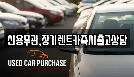 서울 영등포구 대림동 장기렌트카 전문 신용무관,장기렌트카즉시출고상담