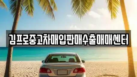 서울 영등포구 대림동 중고차 전문 김프로중고차매입판매수출매매센터
