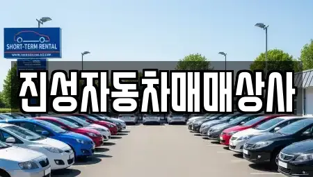 서울 영등포구 대림동 중고차 전문 진성자동차매매상사