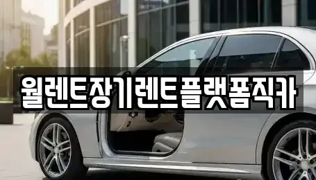 서울특별시 종로구 중학동 장기렌트카 전문 월렌트장기렌트플랫폼직카
