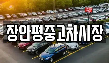 서울특별시 종로구 중학동 중고차매매 전문 장안평중고차시장